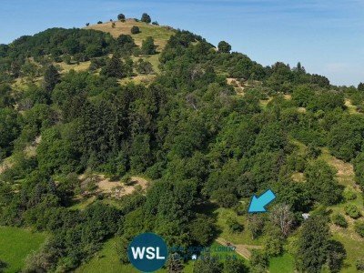 Hauptbild Natur genießen statt Alltagstress - idyllisches Wiesengrundstück mit Baumbestand bei Weilheim-Teck